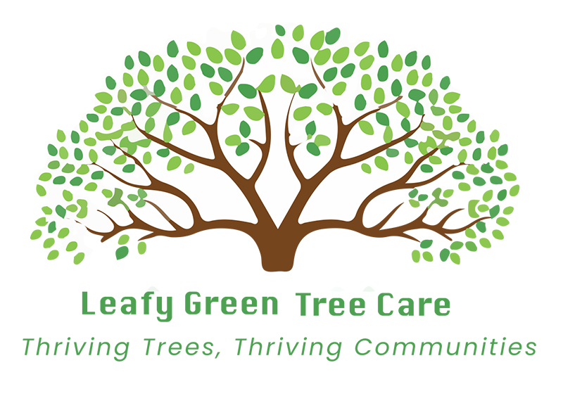 Leafy Green Tree Care