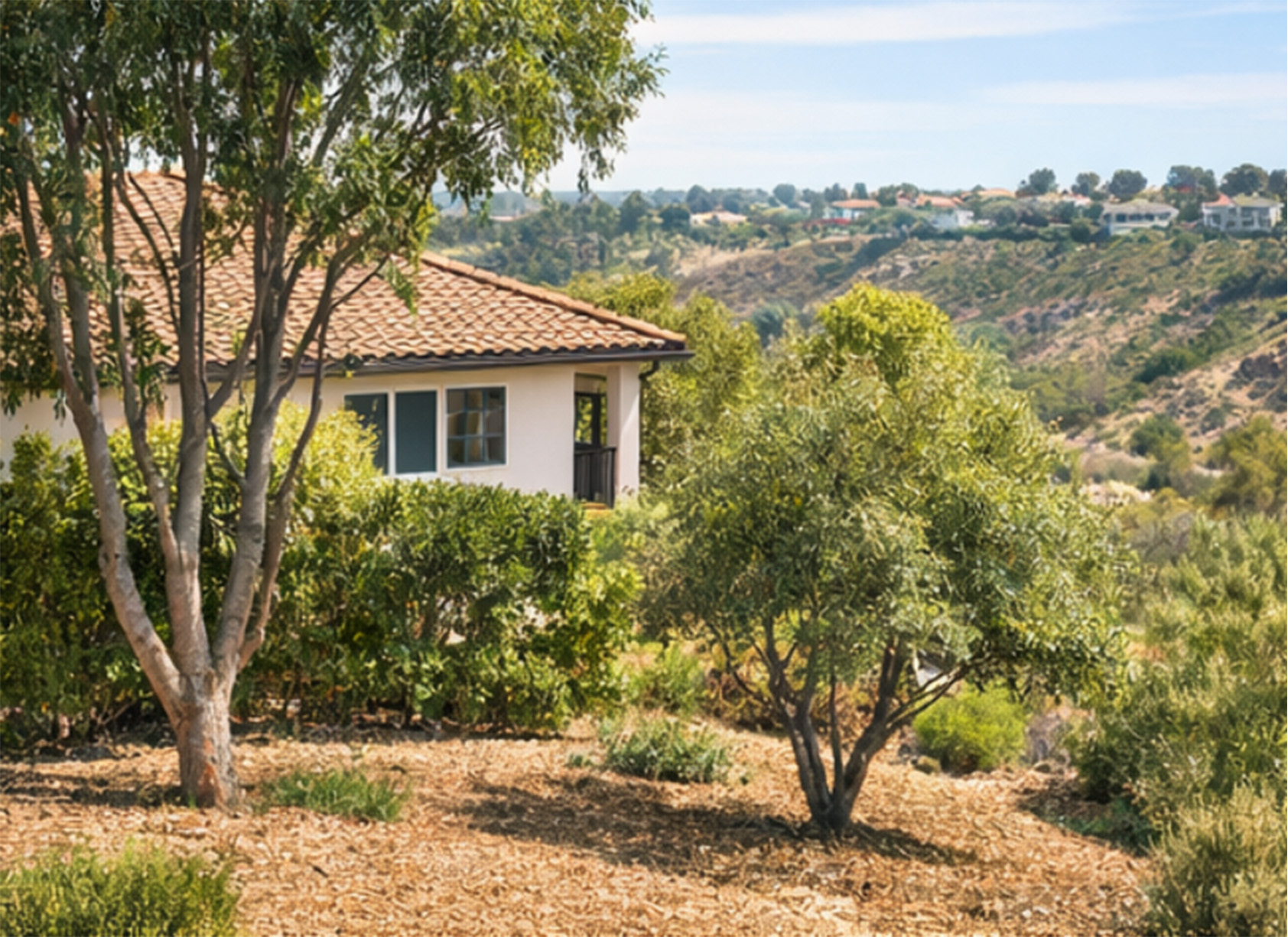 HouseScrippsRanch Scripps Ranch House